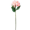 Silkkikukka hortensia